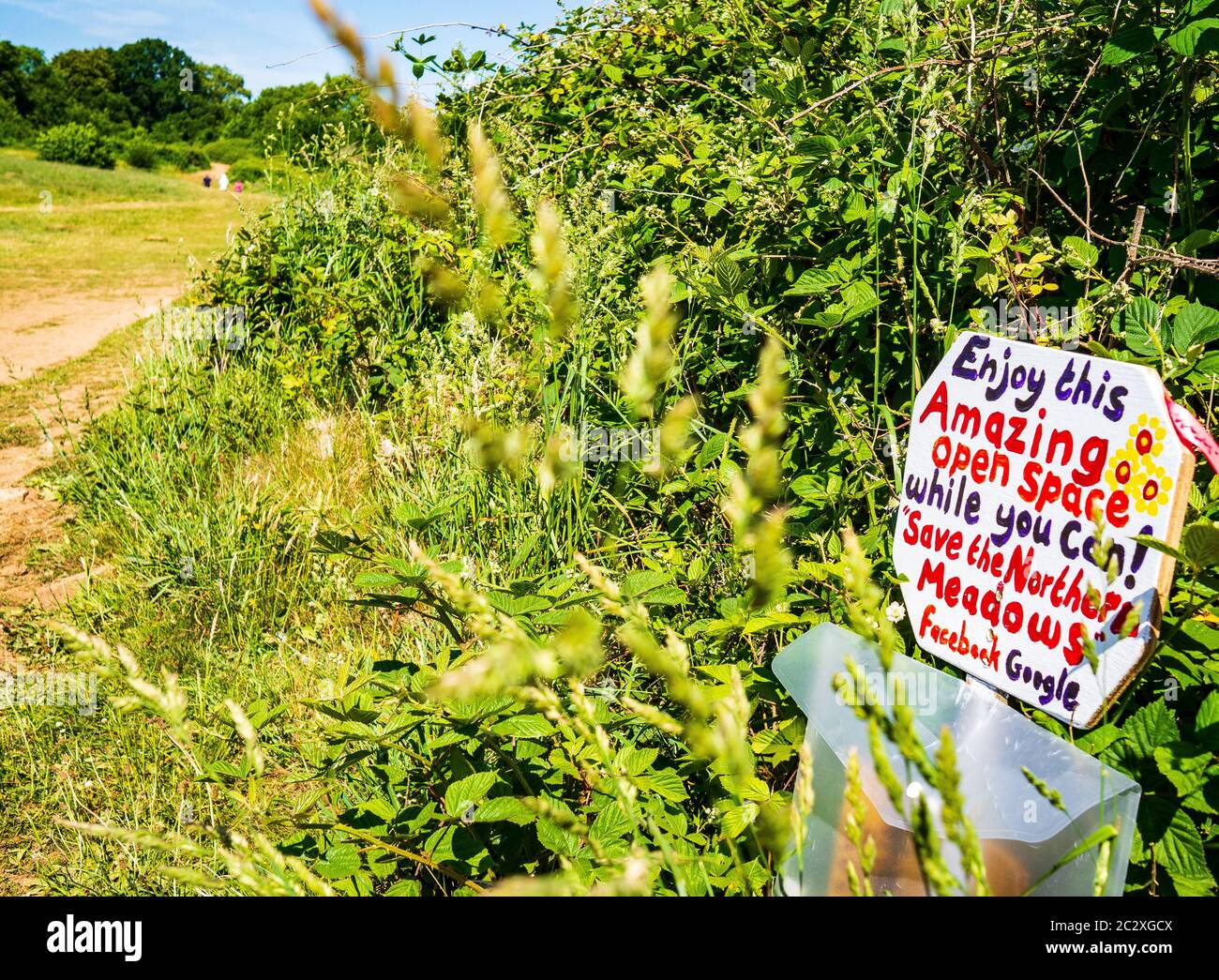 Extinction Rebellion Protest, Northern Meadows, Velindre, Cardiff, Wales, Großbritannien Stockfoto