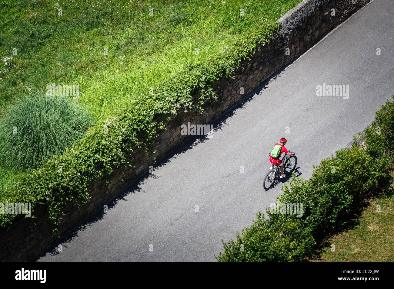 Der Radfahrer fährt mit dem Mountainbike mit voller Federung entlang einer Asphaltstraße entlang der grünen Plantagen hinauf. In Samt gekleidet Stockfoto