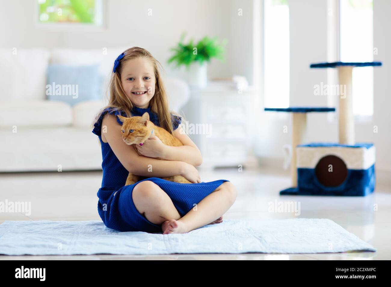 Kinder spielen mit der Katze zu Hause. Kinder und Haustiere. Kleines Mädchen füttern und streicheln cute Ingwer Farbe cat. Katzen Baum und Scratcher im Wohnzimmer. Stockfoto