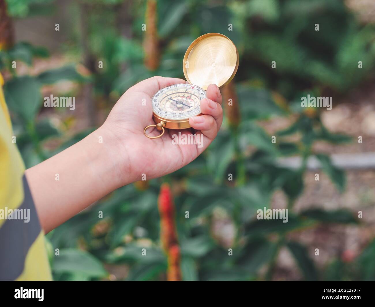 Hand von Kind Hand mit magnetischen goldenen Kompass während der Reise im Dschungel oder Wald und auf der Suche nach einem Abenteuer Route zu Berg oder Hügel. Episch Stockfoto