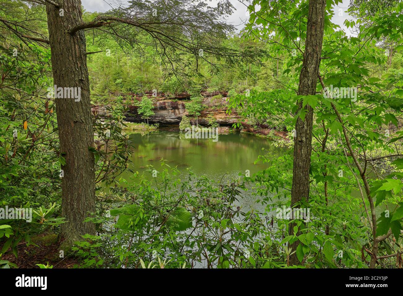 Pickett Lake als Blick vom Wanderweg. Stockfoto