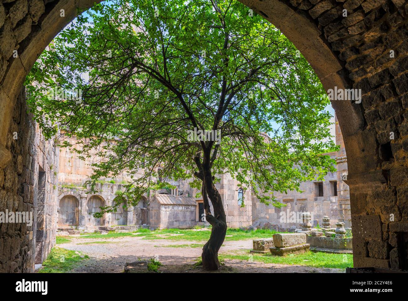 Baum wächst auf dem Territorium des Klosters Tatev, einer Touristenattraktion Armeniens Stockfoto
