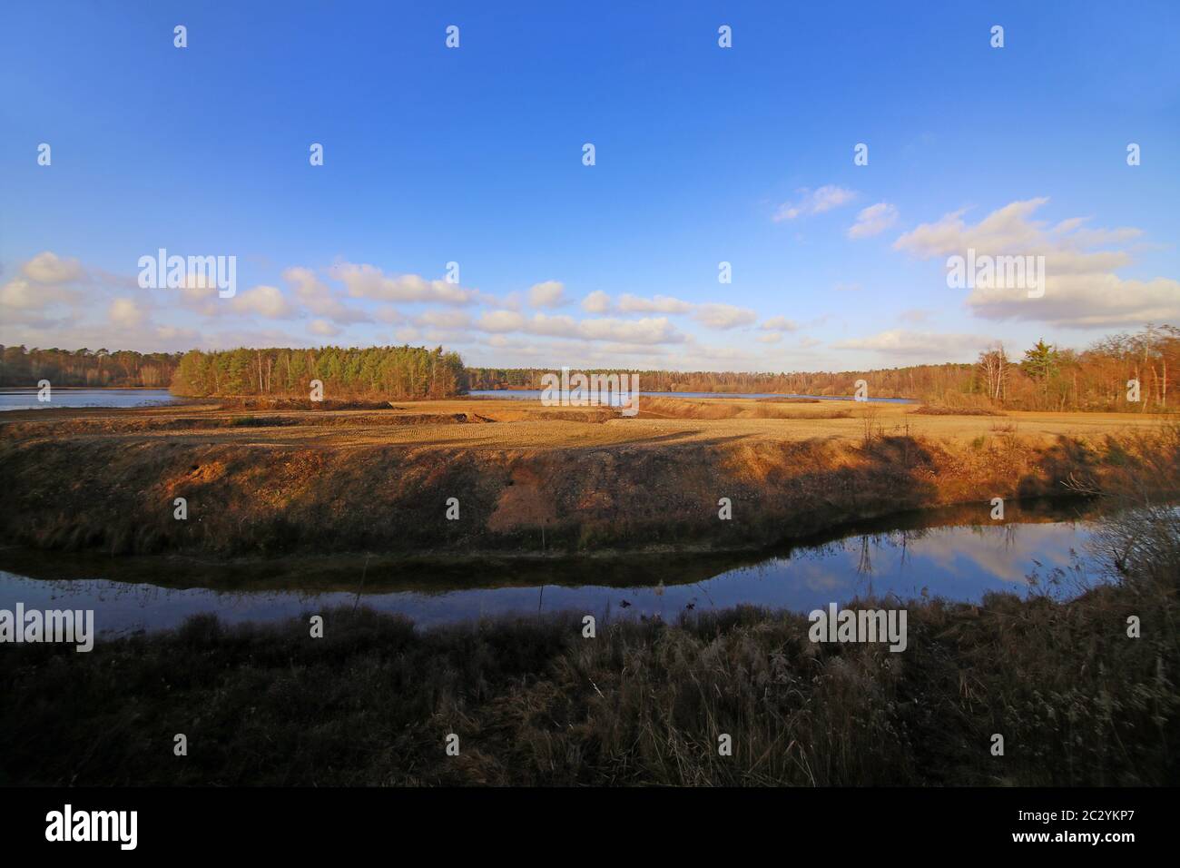 Das Naturschutzgebiet Kohlplatteschlag bei Neuthard Stockfoto