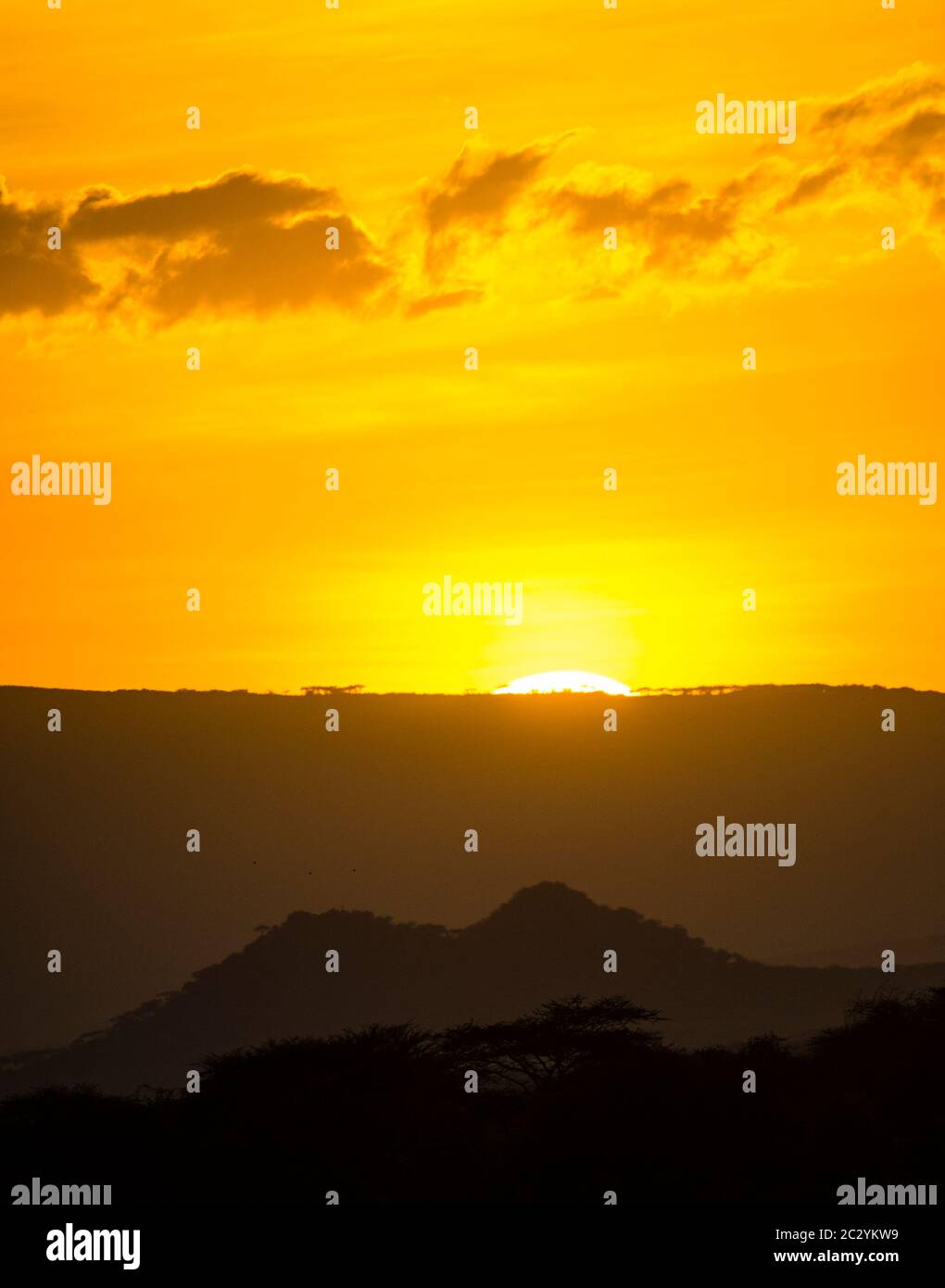 Matit bei Sonnenaufgang, Ngorongoro Conservation Area, Tansania, Afrika Stockfoto