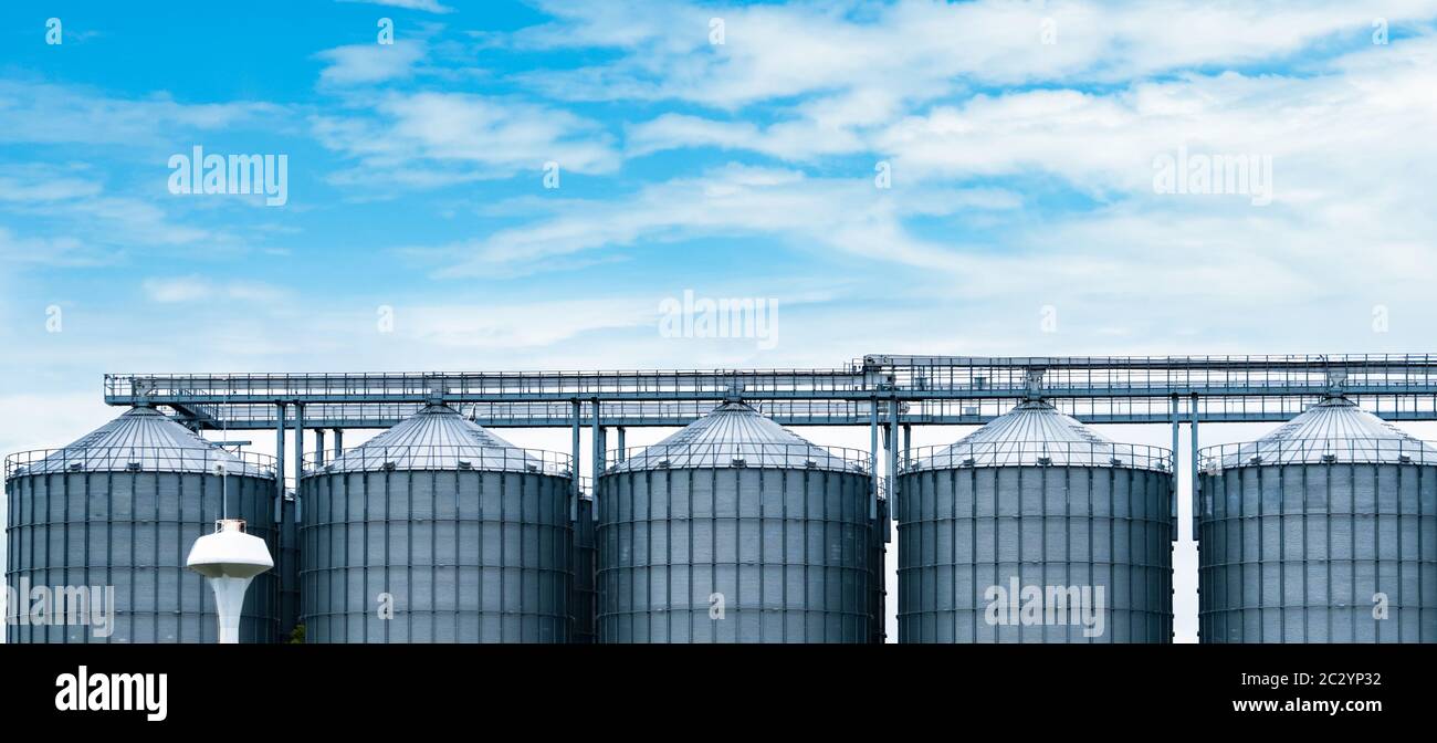 Agrarwirtschaftliches Silo in der Fabrik der Futtermühle. Großer Tank für die Lagerung von Getreide in der Futtermittelherstellung. Saatgut-Vorratsturm für die Futtermittelproduktion. Kommerzieller Feed f. Stockfoto