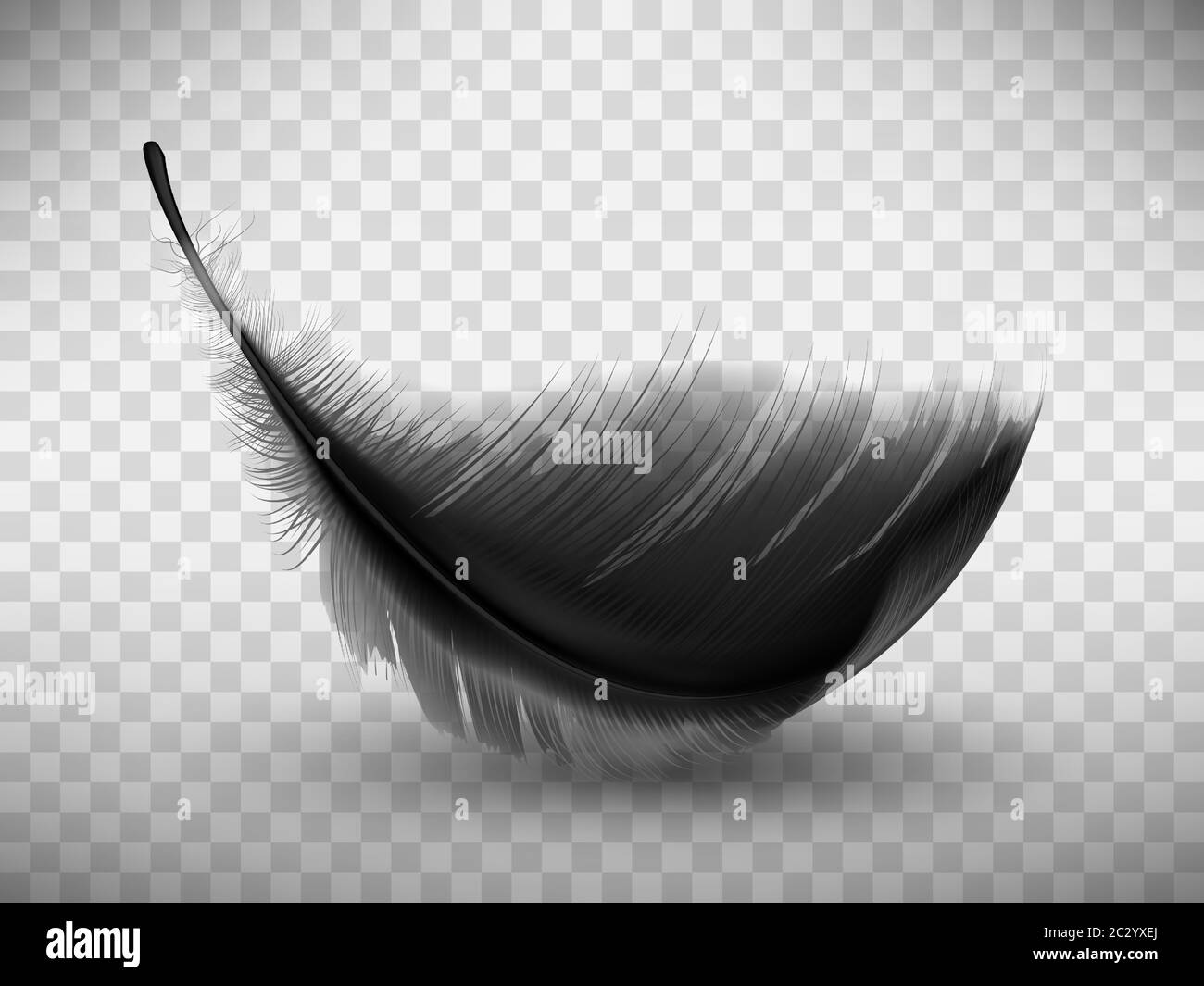 Schwarze flauschige Feder mit Schatten Vektor realistische Illustration, isoliert auf transparentem Hintergrund. Feder aus Flügel des Vogels oder gefallenen Engel, Symbol Stock Vektor