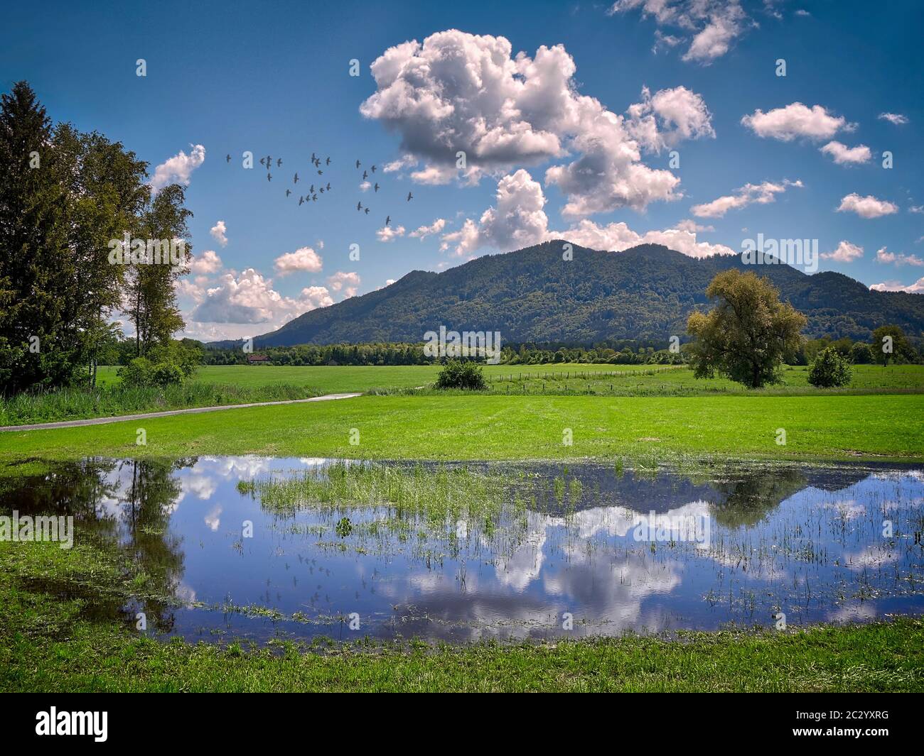 DE - OBERBAYERN: Loisach Moorlandschaft bei Bichl nach dem Regen Stockfoto