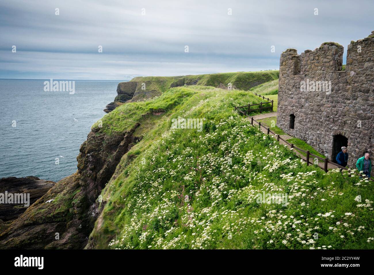 Dunnottar Castle, Stonehaven, Schottland, Großbritannien, Europa Stockfoto