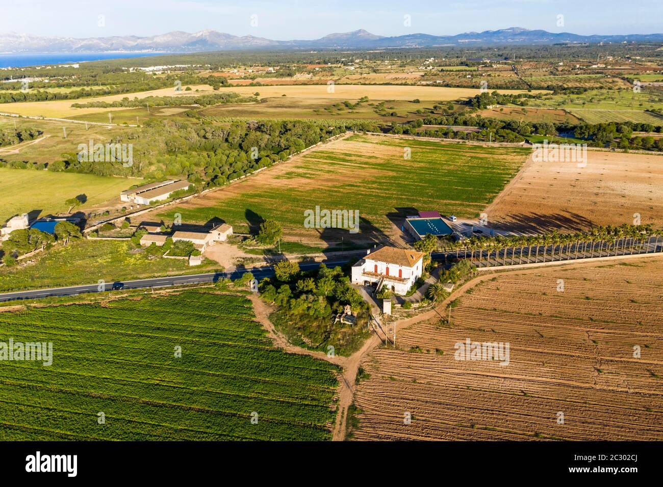 Luftaufnahmen, Finca in landwirtschaftlicher Umgebung, Can Picafort, Balearen, Mallorca, Spanien Stockfoto