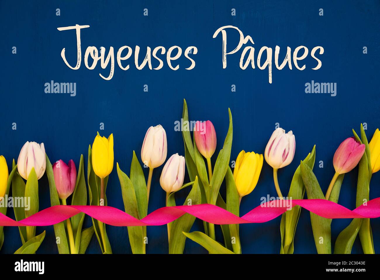 Französischer Text Joyeuses Paques Bedeutet Frohe Ostern. Weiße Und Pinke Tulpenfrühlingsblumen Mit Band. Blauer Holzhintergrund Stockfoto