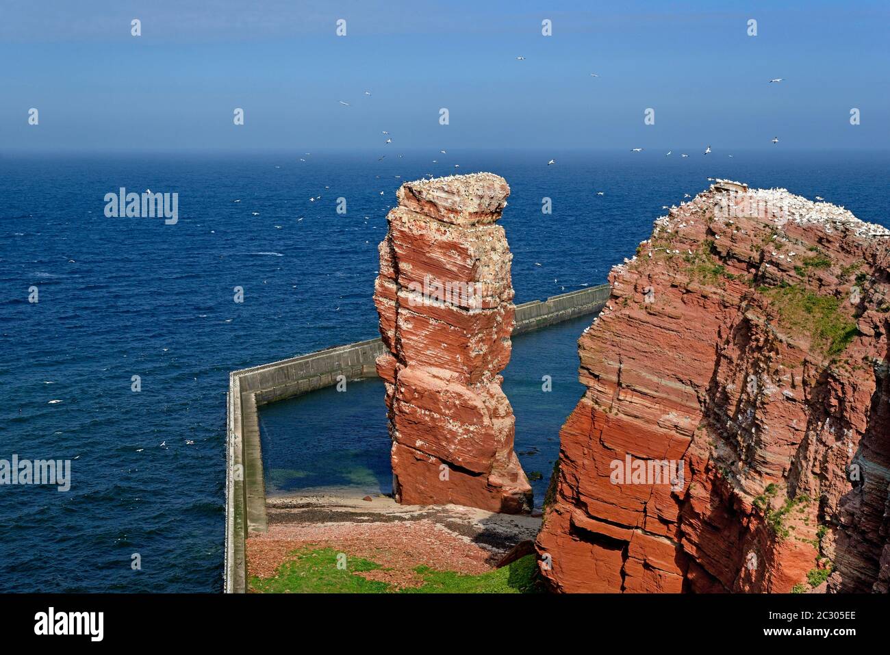 Blick auf das Wahrzeichen von Helgoland, lange Anna, Buntsandstein, Felsennadel, Nordsee, Schleswig-Holstein, Deutschland Stockfoto