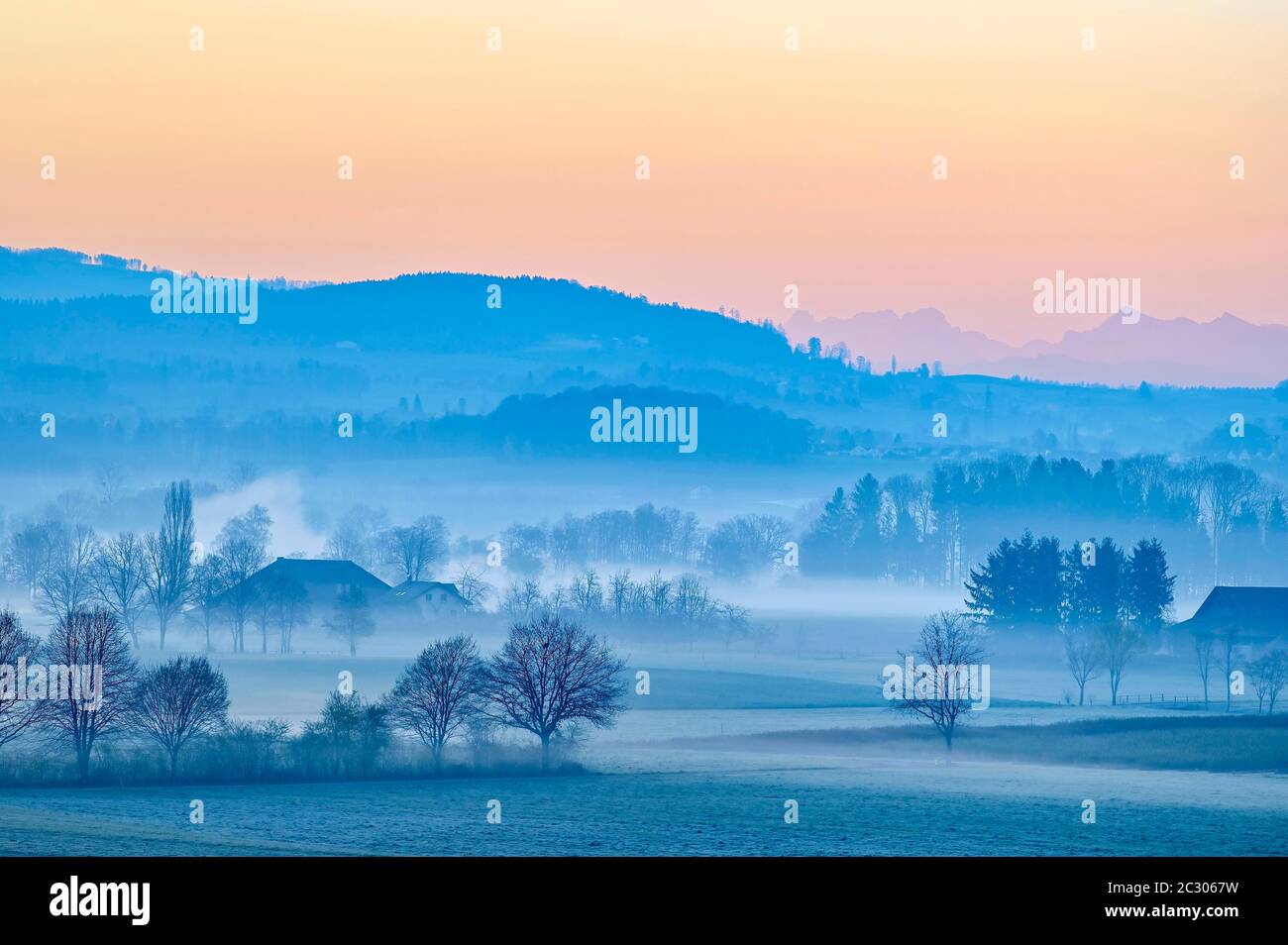 Bauernhof, Wiesen und Bäume im Morgennebel, Reusstal, Aristau, Kanton Aargau, Schweiz Stockfoto