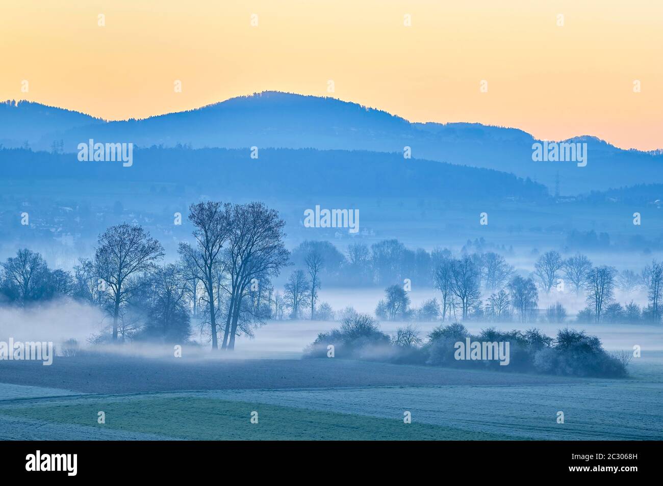 Wiesen und Bäume im frühen Nebel, Reusstal, Deutschland, Kanton Aargau, Schweiz Stockfoto