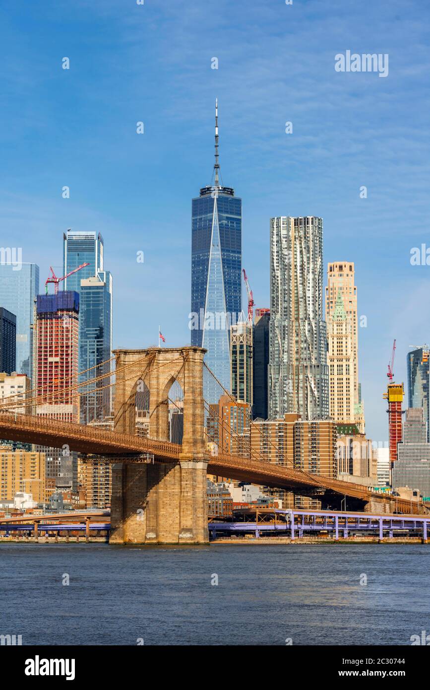 Blick vom Main Street Park über den East River auf die Skyline von Lower Manhattan mit Brooklyn Bridge, Dumbo, Downtown Brooklyn, Brooklyn, New York Stockfoto