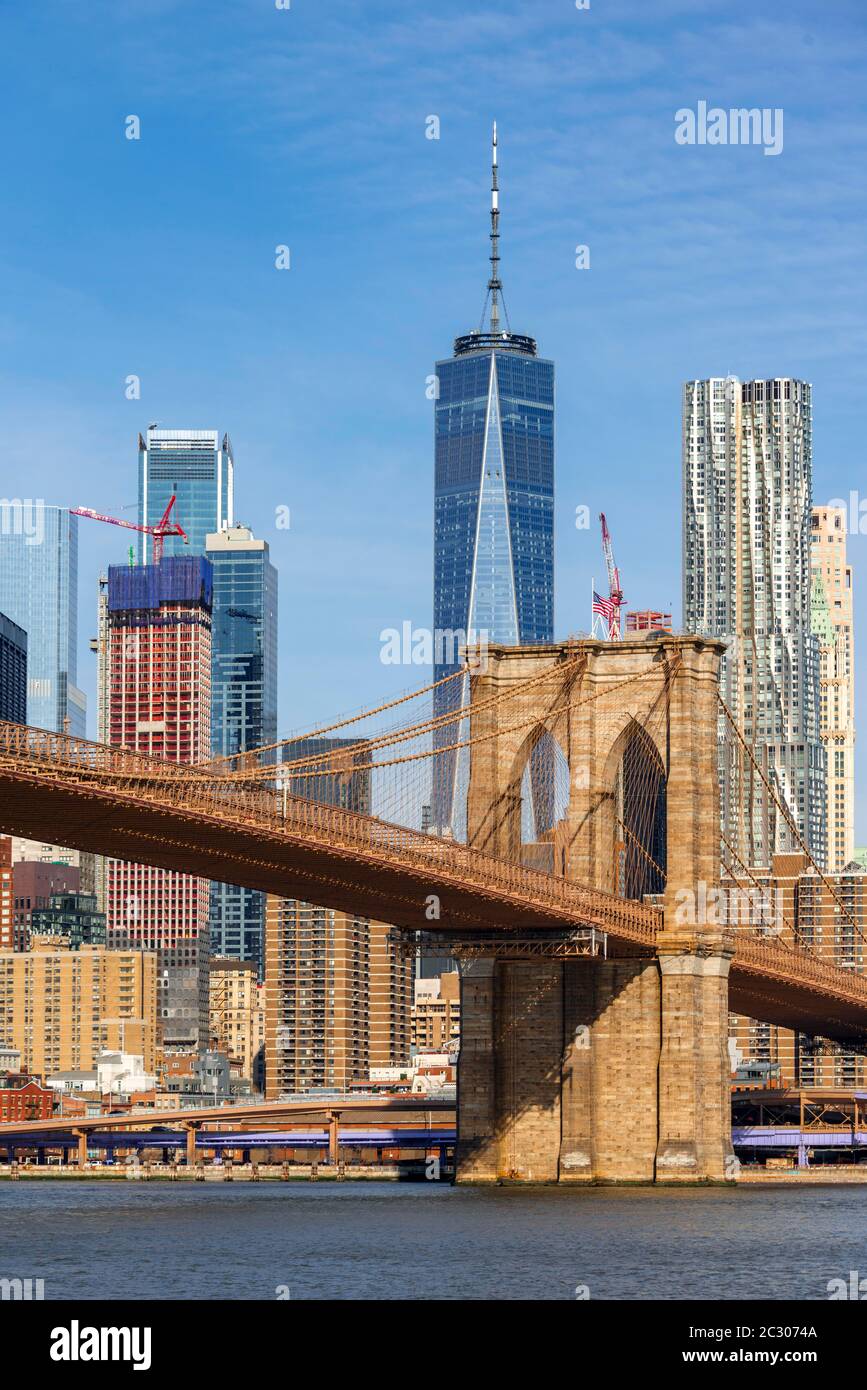 Blick vom Main Street Park über den East River auf die Skyline von Lower Manhattan mit Brooklyn Bridge, Dumbo, Downtown Brooklyn, Brooklyn, New York Stockfoto