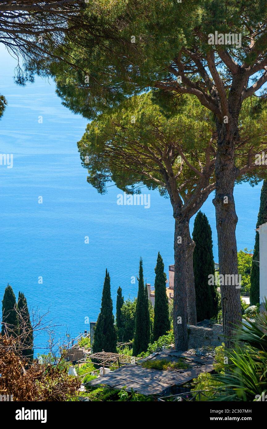 Gärten der Villa Rufolo mit ihren berühmten Sonnenschirm Pinien mit Blick auf das Tyrrhenische Meer, Ravello, Kampanien, Italien Stockfoto