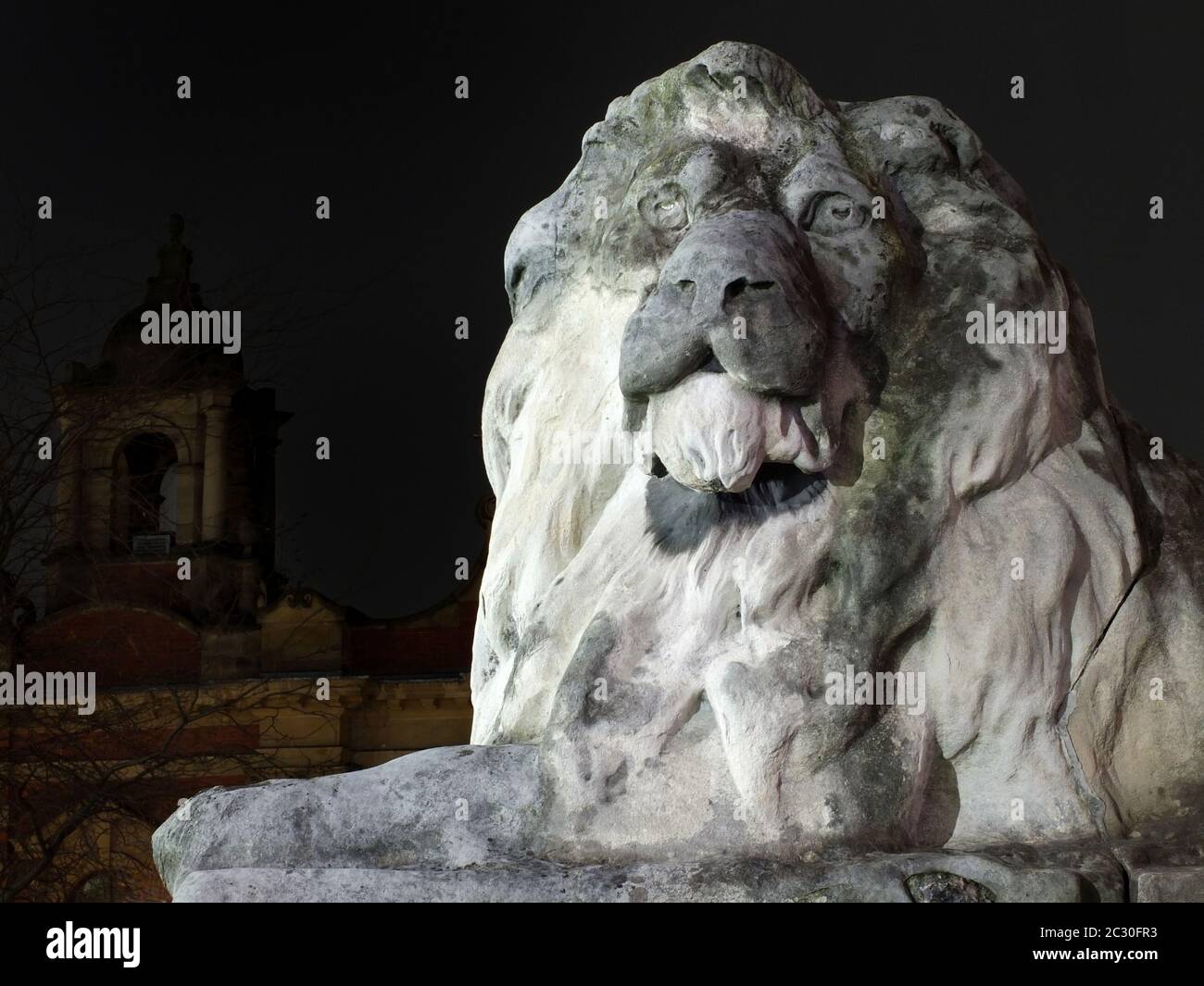 Detail der Löwen Skulptur vor dem rathaus von leeds bei Nacht Stockfoto