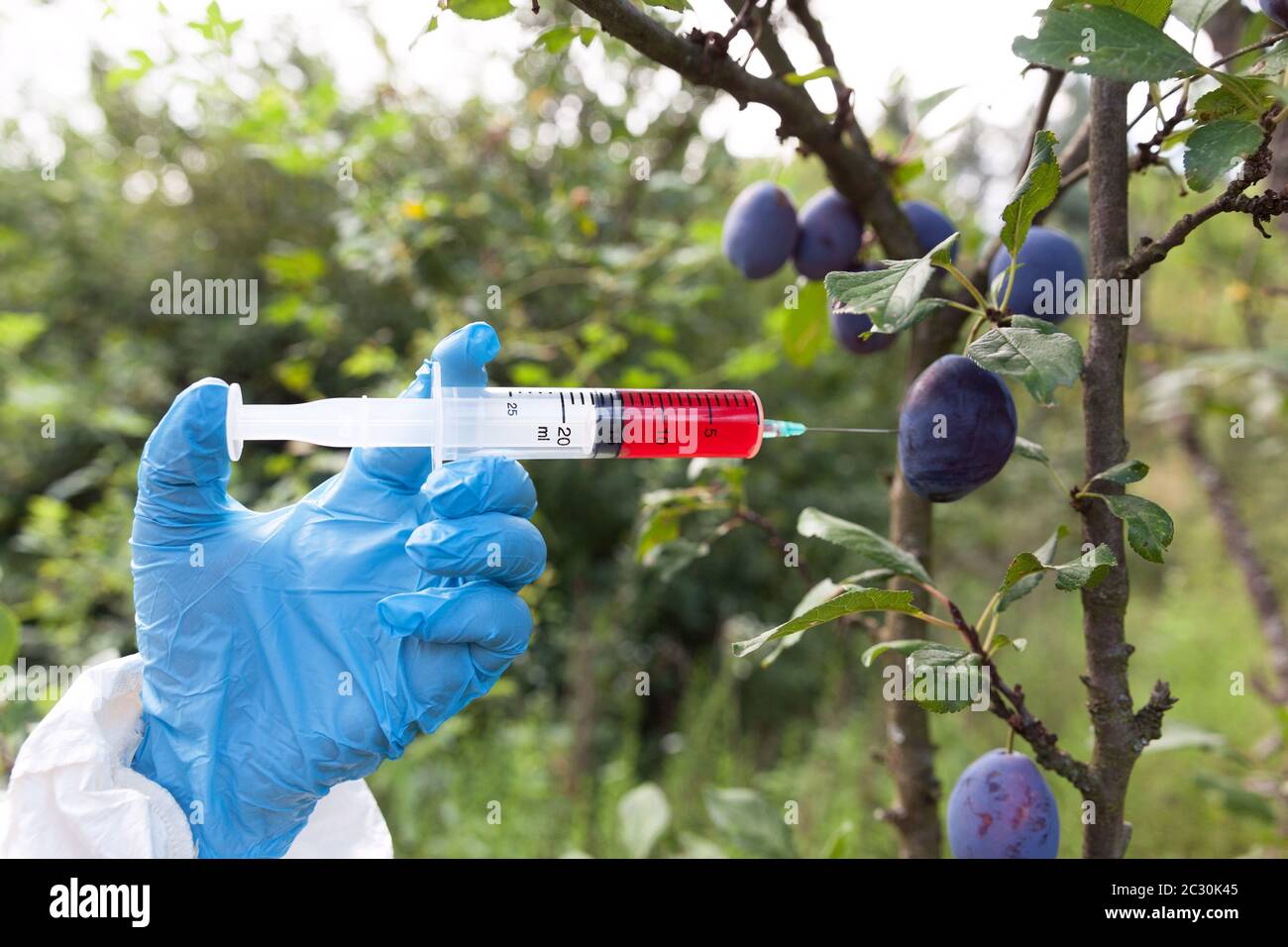 Früchte gefärbt mit künstlichen Farbe Stockfoto