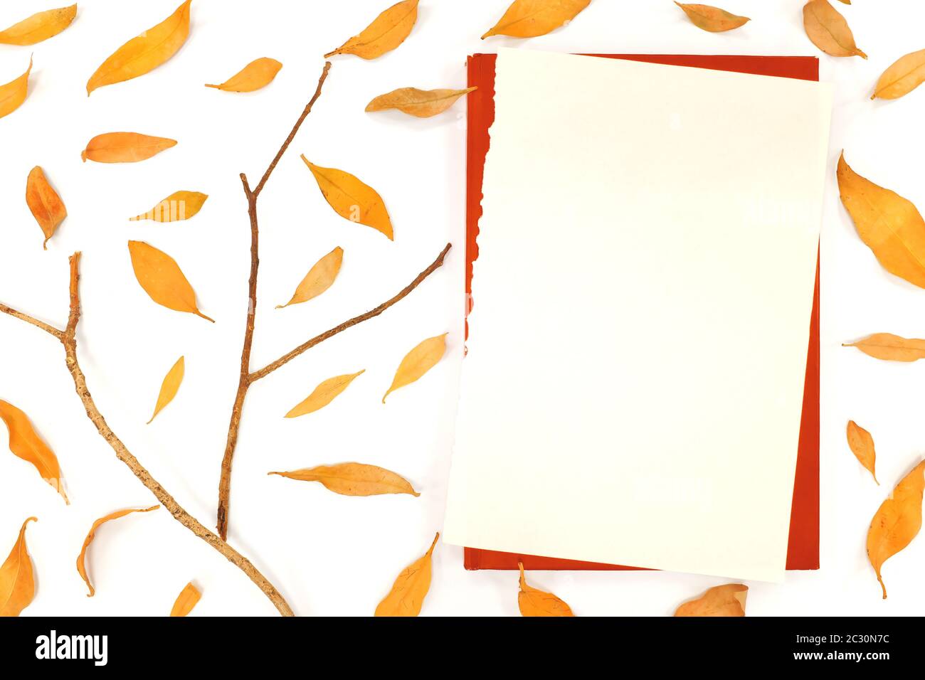 Leuchtend orange fallende Herbstblätter Papier Mockup in weißem Hintergrund. Stockfoto