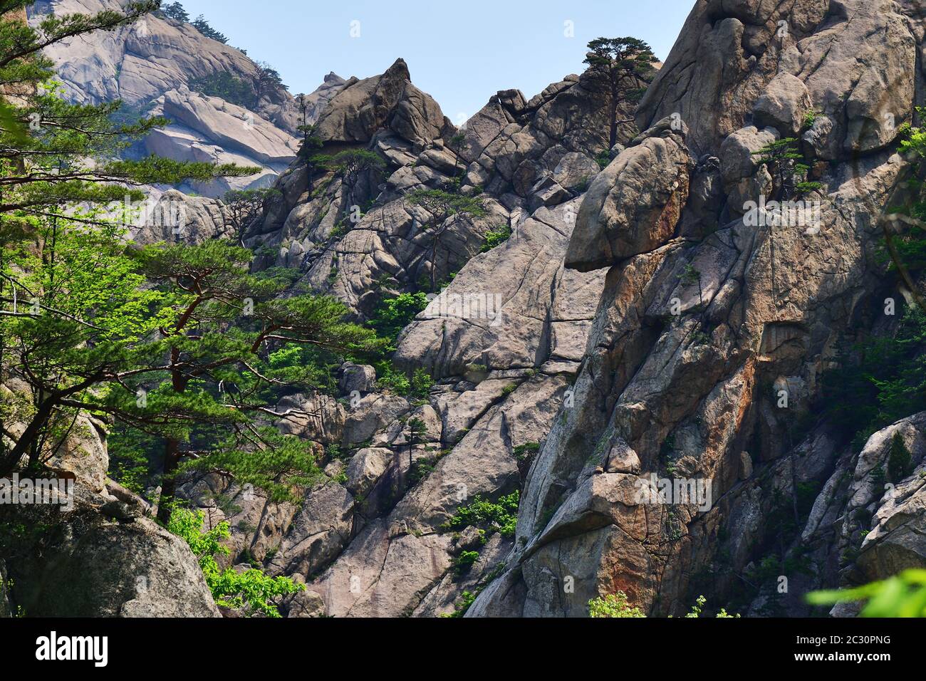 Diamond Mountains. DPRK. Mt.Kumgang Trekking Route. Tolle Landschaft. Rote koreanische Pinien und Ahorn auf den Felsen Stockfoto
