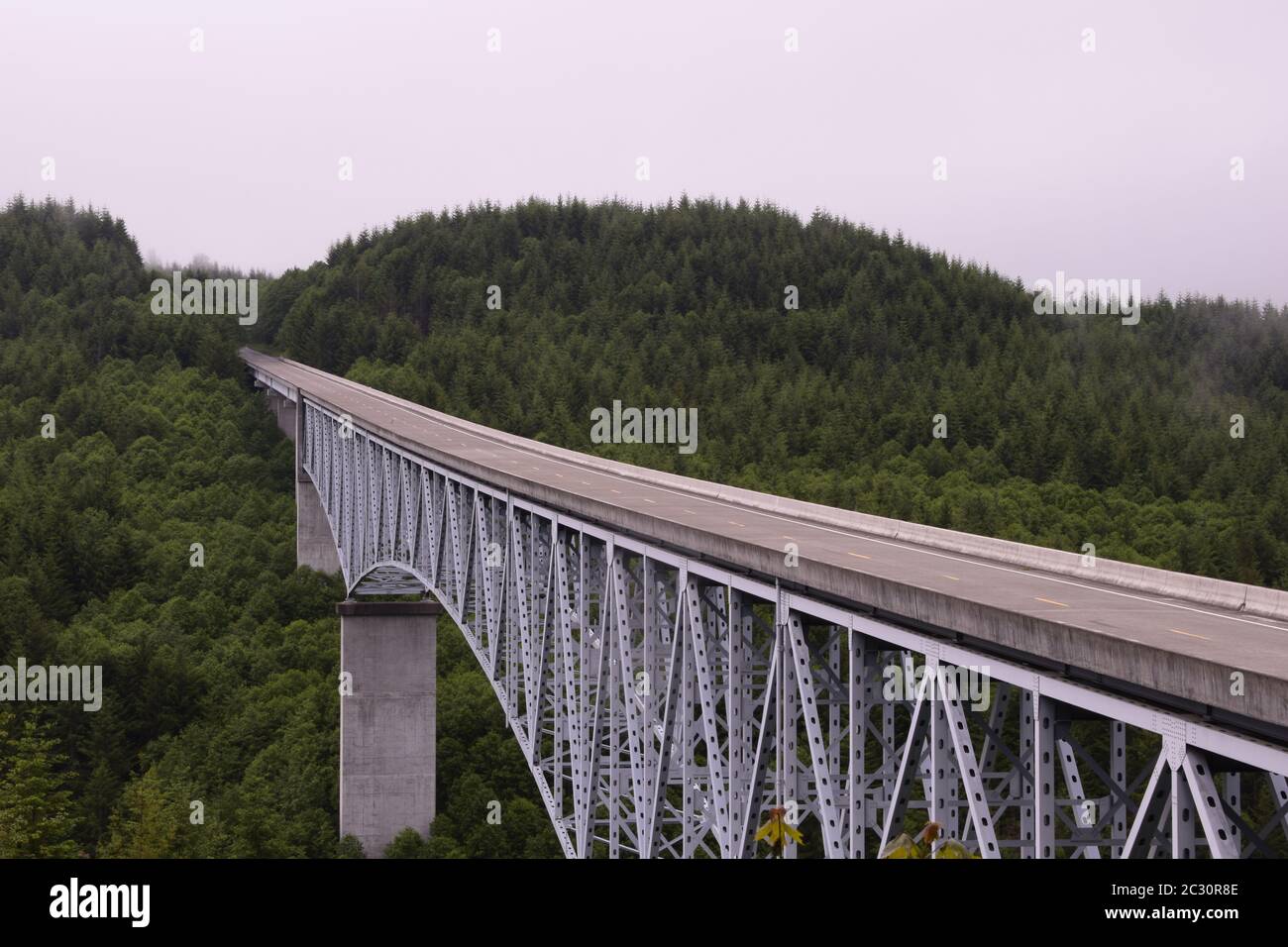 Long Bridge Crossing Valley voller üppiger Bäume während EINER Wolkiger Morgen Stockfoto