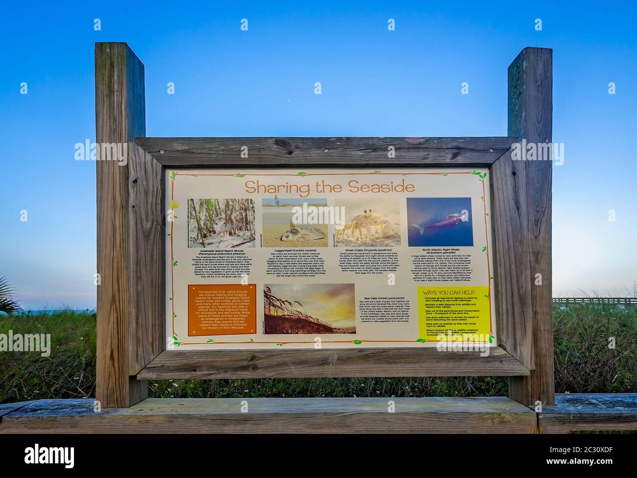 Ein Holzschild lehrt Touristen, wie man einheimische Arten auf Anastasia Island und St. Johns County Ocean Pier in St. Augustine, Florida zu schützen. Stockfoto
