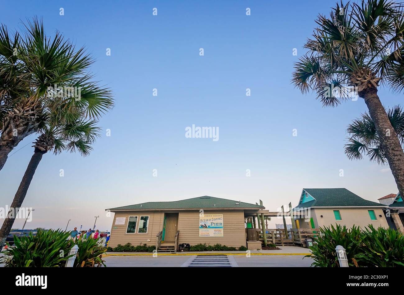 Pinien flankieren den Eingang zum St. Johns County Ocean Pier, 14. April 2015, in St. Augustine, Florida. Stockfoto