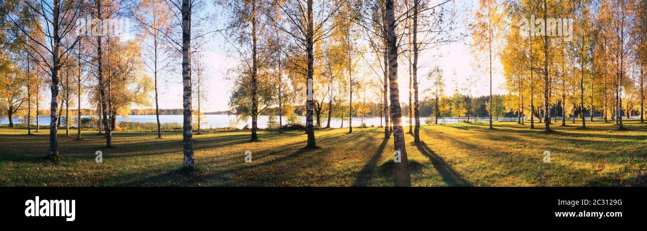 Blick auf Bäume am Flussufer und Sonne im Wasser des Flusses Vuoksi, Imatra, Finnland Stockfoto