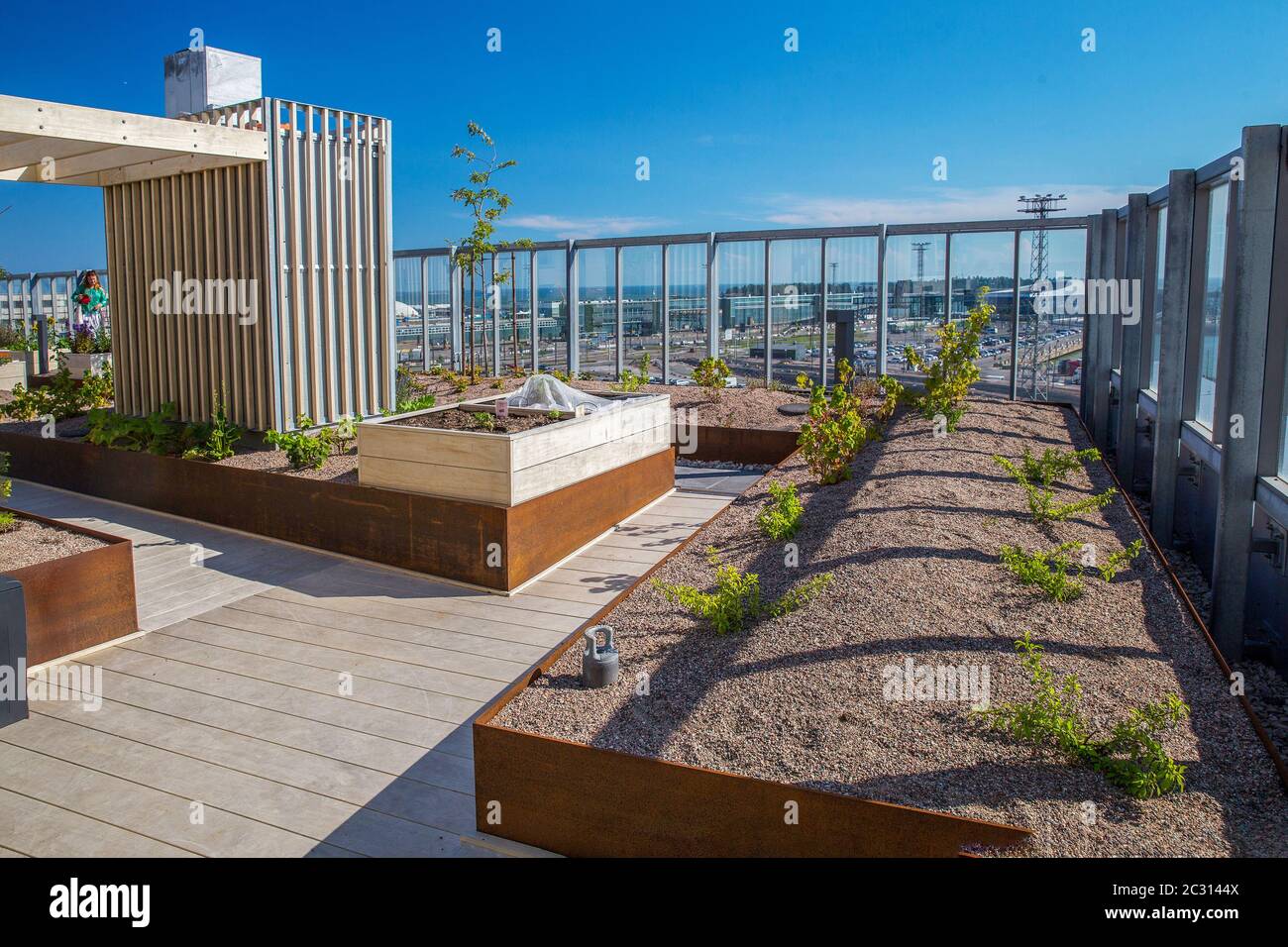 Roof Garden ist ein Wohnhaus in der Nähe des Hafens von Helsinki und der Ostsee. Sonnenblumen und andere Pflanzen in speziellen Tanks - . Helsinki University Stockfoto