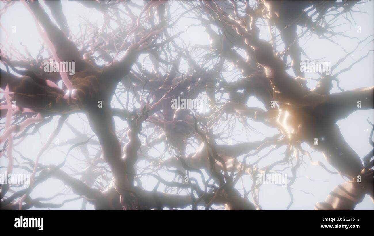 Reise durch ein Neuron Cell Network im Gehirn Stockfoto