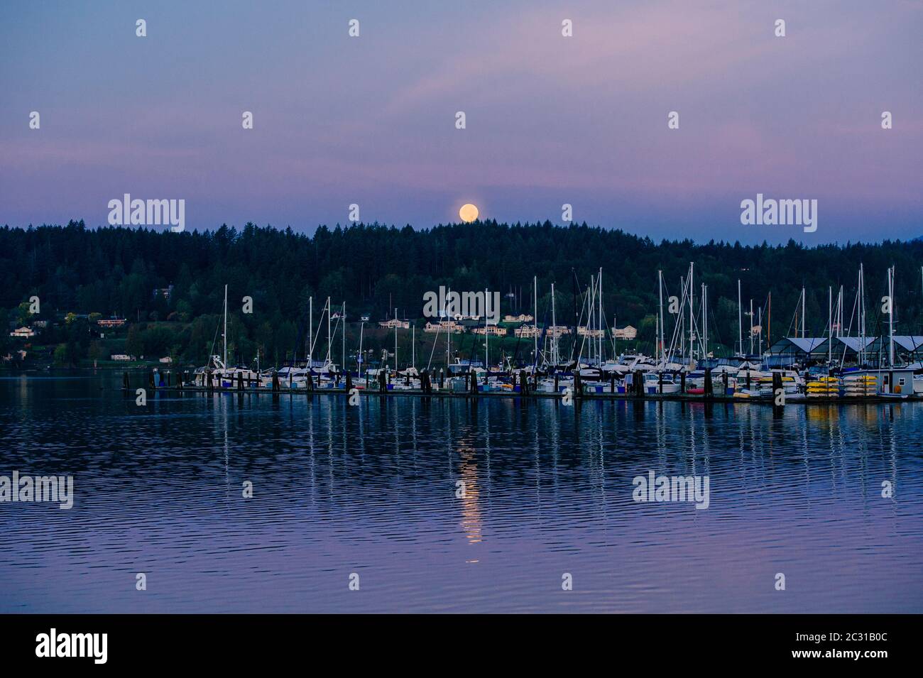 Segelboote im Hafen bei Nacht, Bainbridge Island, Washington, USA Stockfoto