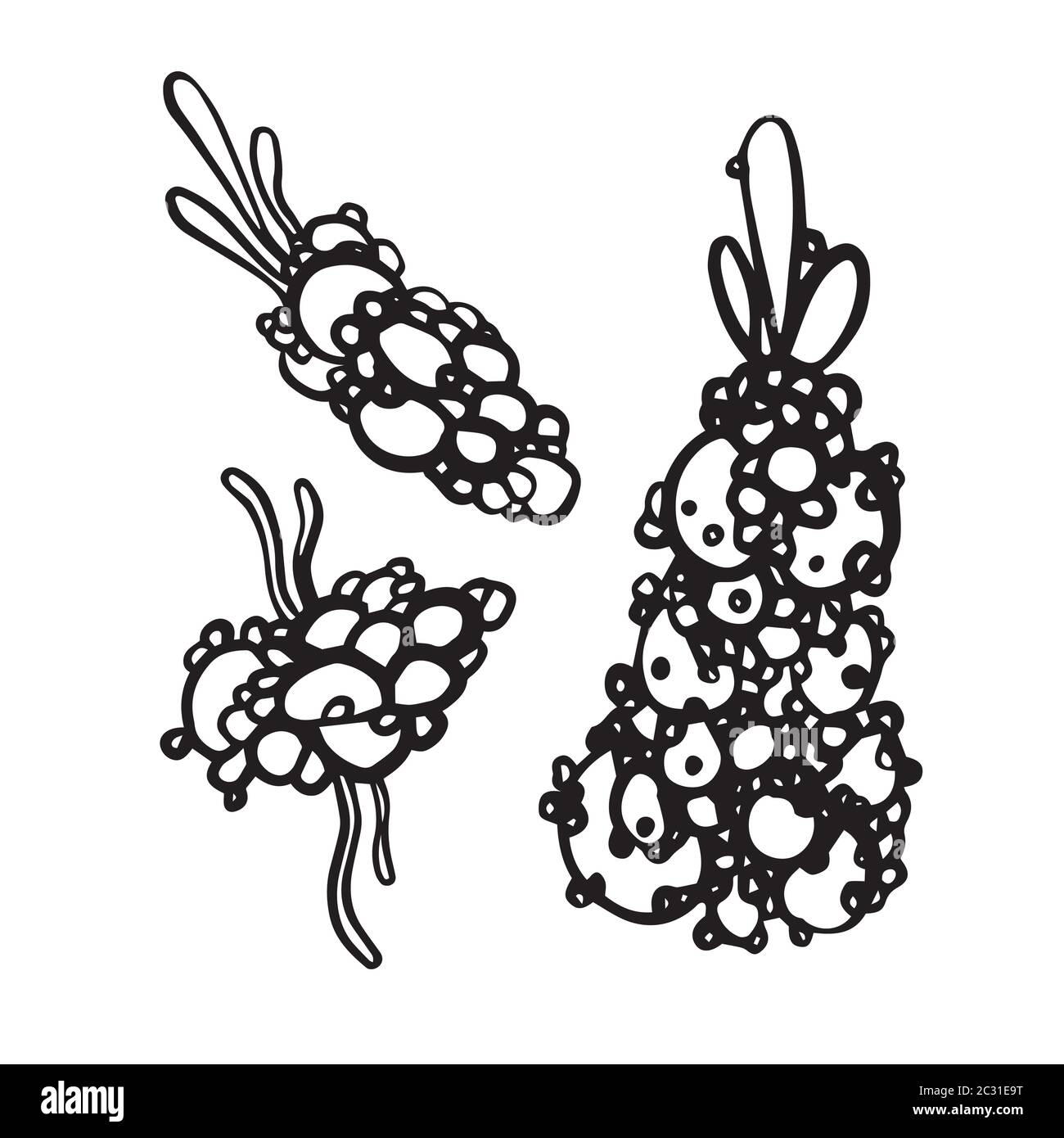 Unterwterter Blumen Stock Vektor