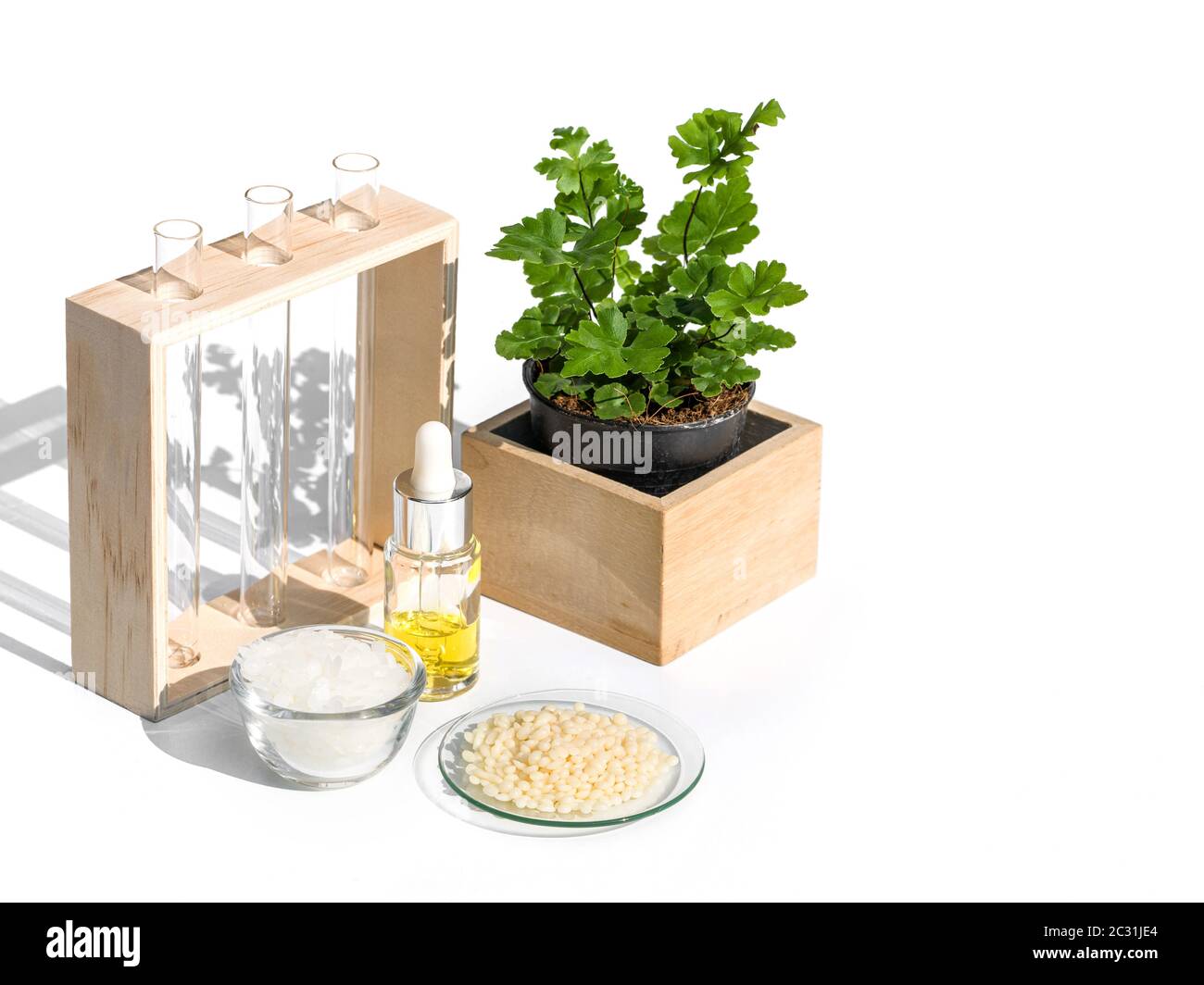 Gelbe Kosmetikfarbe (Öl), mikrokristallines Wachs und Candelilla Wax. Chemikalien für die Schönheitspflege schön in einem weißen Hintergrund angeordnet. Stockfoto