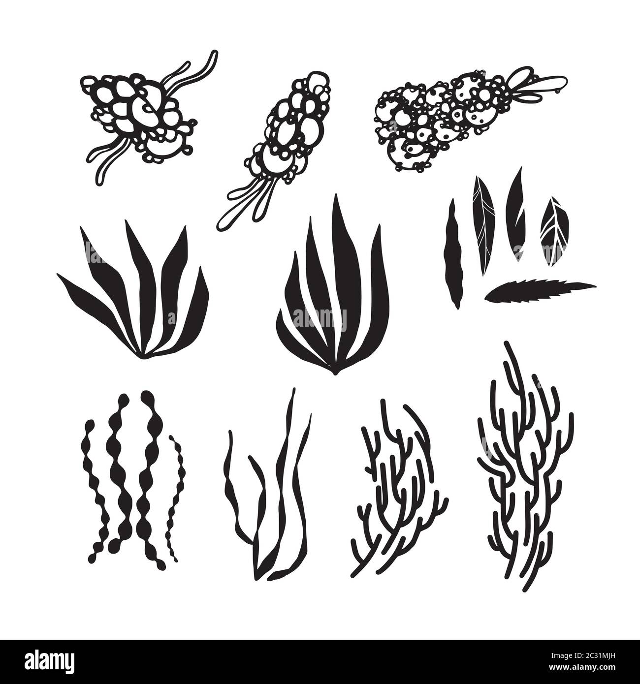 Blütenblätter in schwarzen, tropischen Elementen Stock Vektor