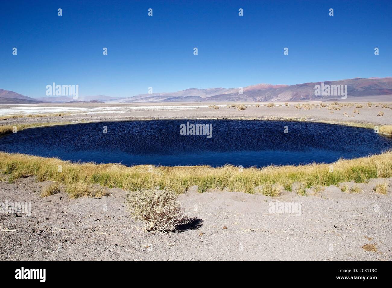 Geyser Ojos del Campo am Salar von Antofalla in der Puna de Atacama, Argentinien. Antofalla liegt in der Antofagasta de La Sierra Abteilung des No Stockfoto