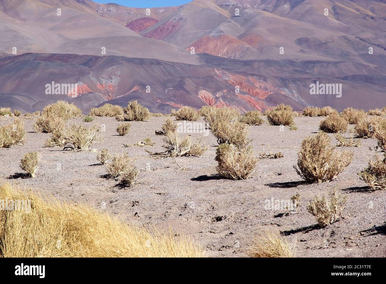 Landschaft am Geyser Ojos del Campo am Salar von Antofalla an der Puna de Atacama, Argentinien. Antofalla liegt in der Antofagasta de La Sierra dep Stockfoto