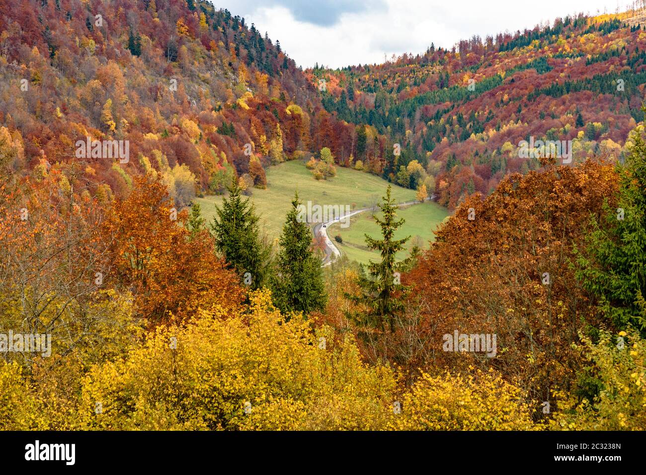 Bäume im Herbst Farben mit der Wicklung Route 531 in der Revuca Landkreis Banska Bystrica Region in der Slowakei Stockfoto
