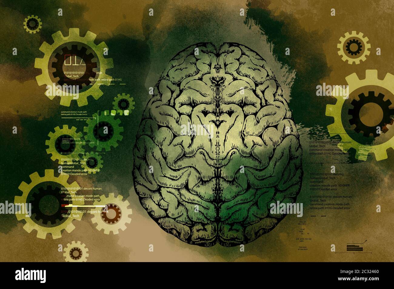 Darstellung des menschlichen Gehirns Stockfoto