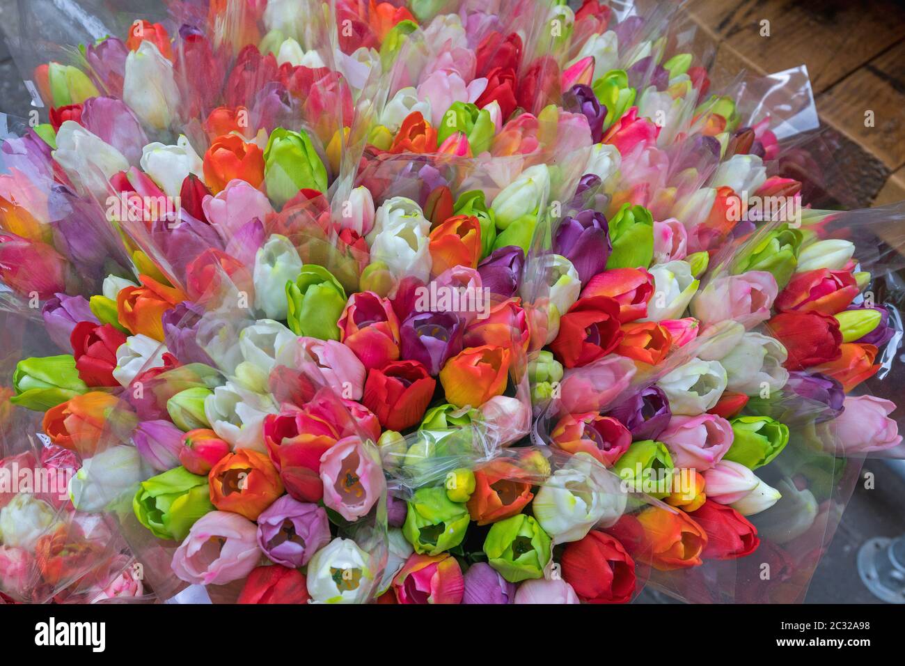 Big Bouquet von bunten frischen Tulpen Blumen Stockfoto