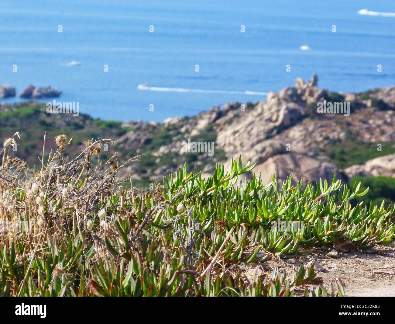 Panoramablick von Caprera, Sardinien Stockfoto