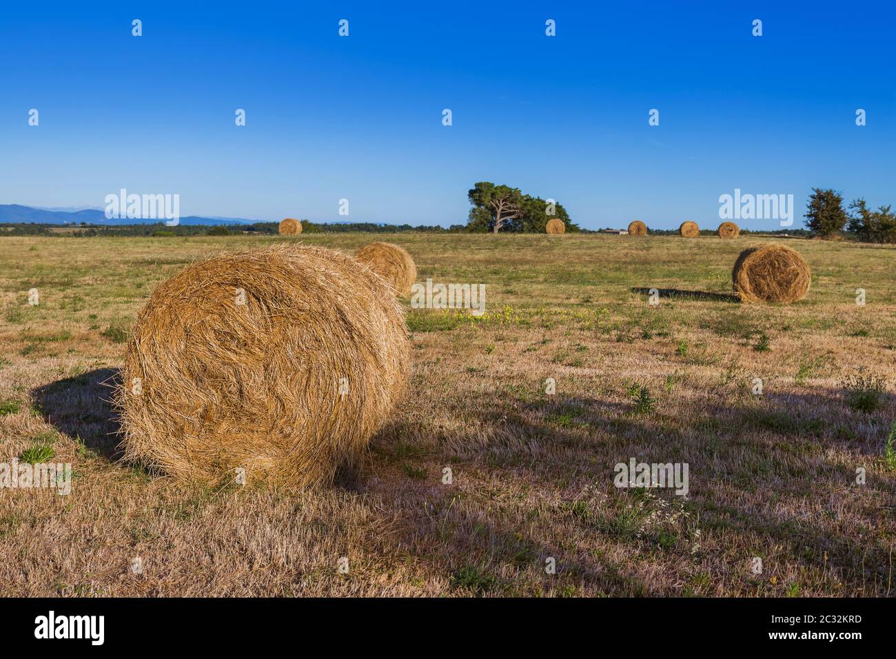 Strohballen auf einem Feld in der Toskana Italien Stockfoto