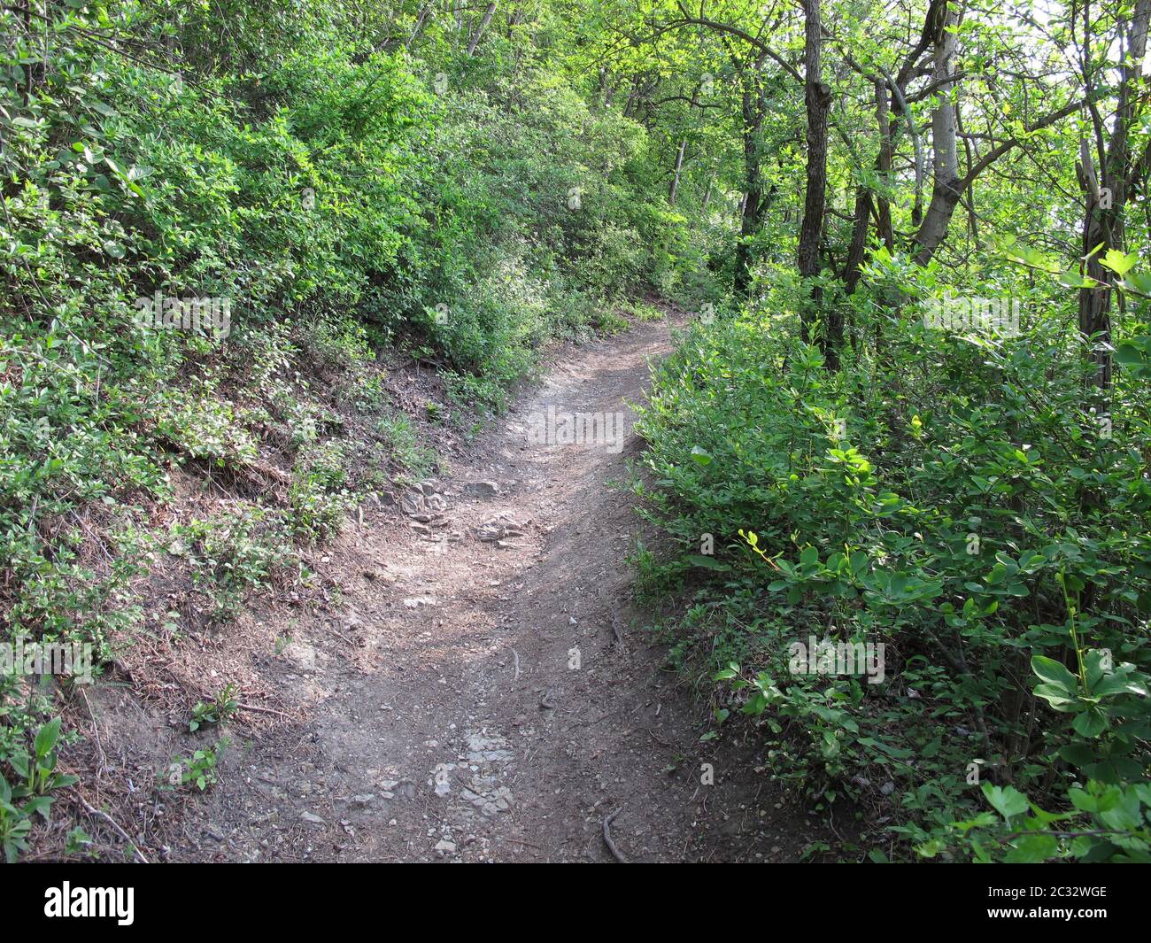 Wanderweg, Jena, Lobeda, Kernberge, Thüringen, Deutschland, Ende Mai 2019 Stockfoto