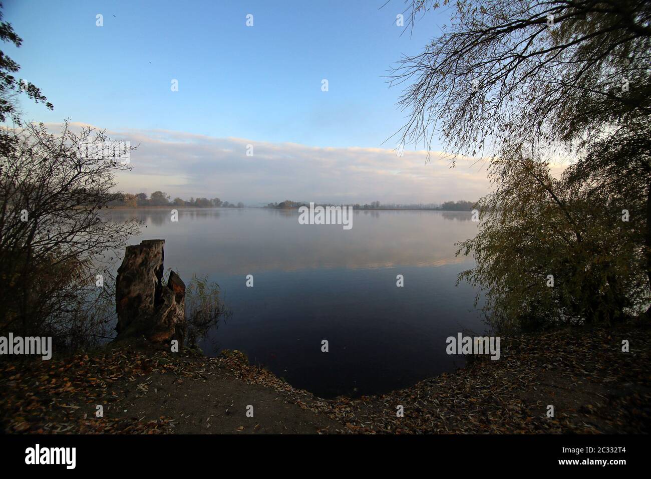 Erlichsee bei Oberhausen-Rheinhausen Stockfoto