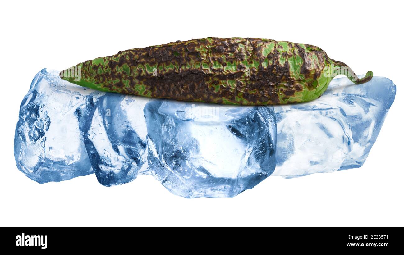 Gegrillte oder gebratene grüne Brand Hatch chile Einfrieren auf grobem crushed Eis, isoliert Stockfoto