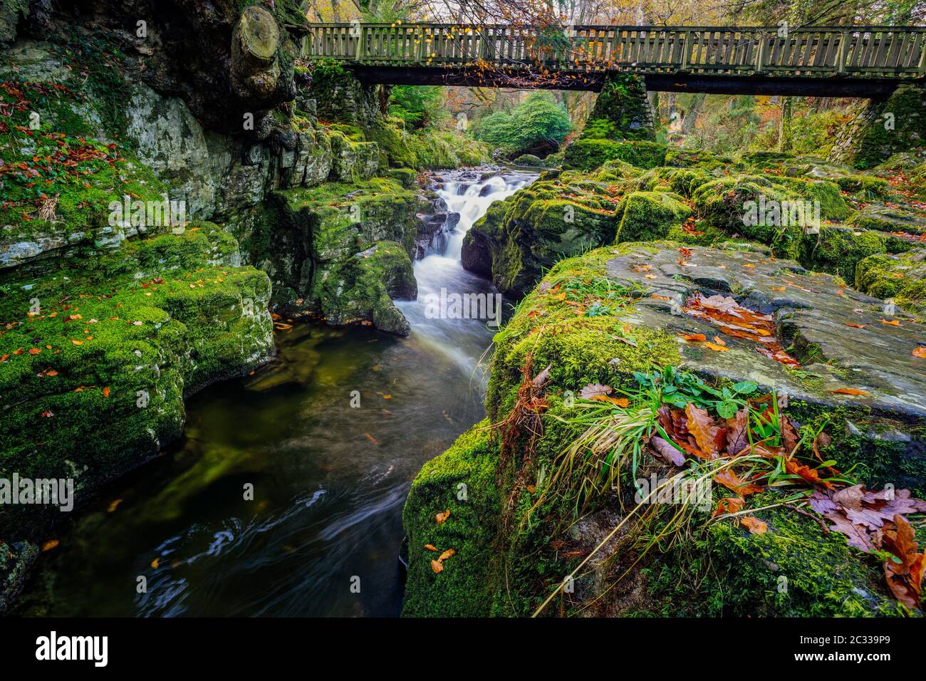 Kaskaden unter Holzbrücke auf Bergbach, mit moosigen Felsen im Tollymore Forest Park Stockfoto