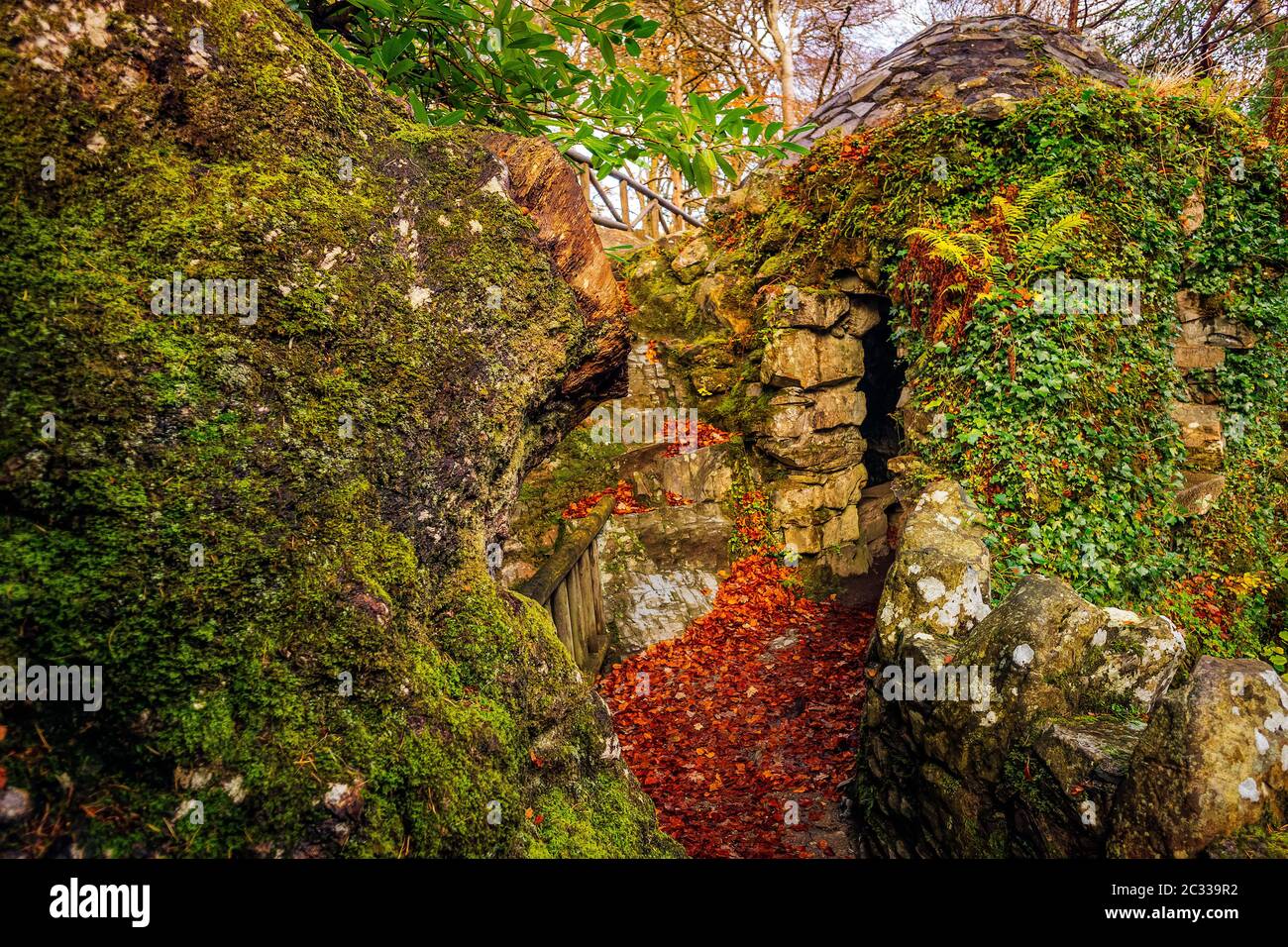 Stein alte Ruine der Hütte mit grünen moosigen Felsen im Tollymore Forest Park Stockfoto