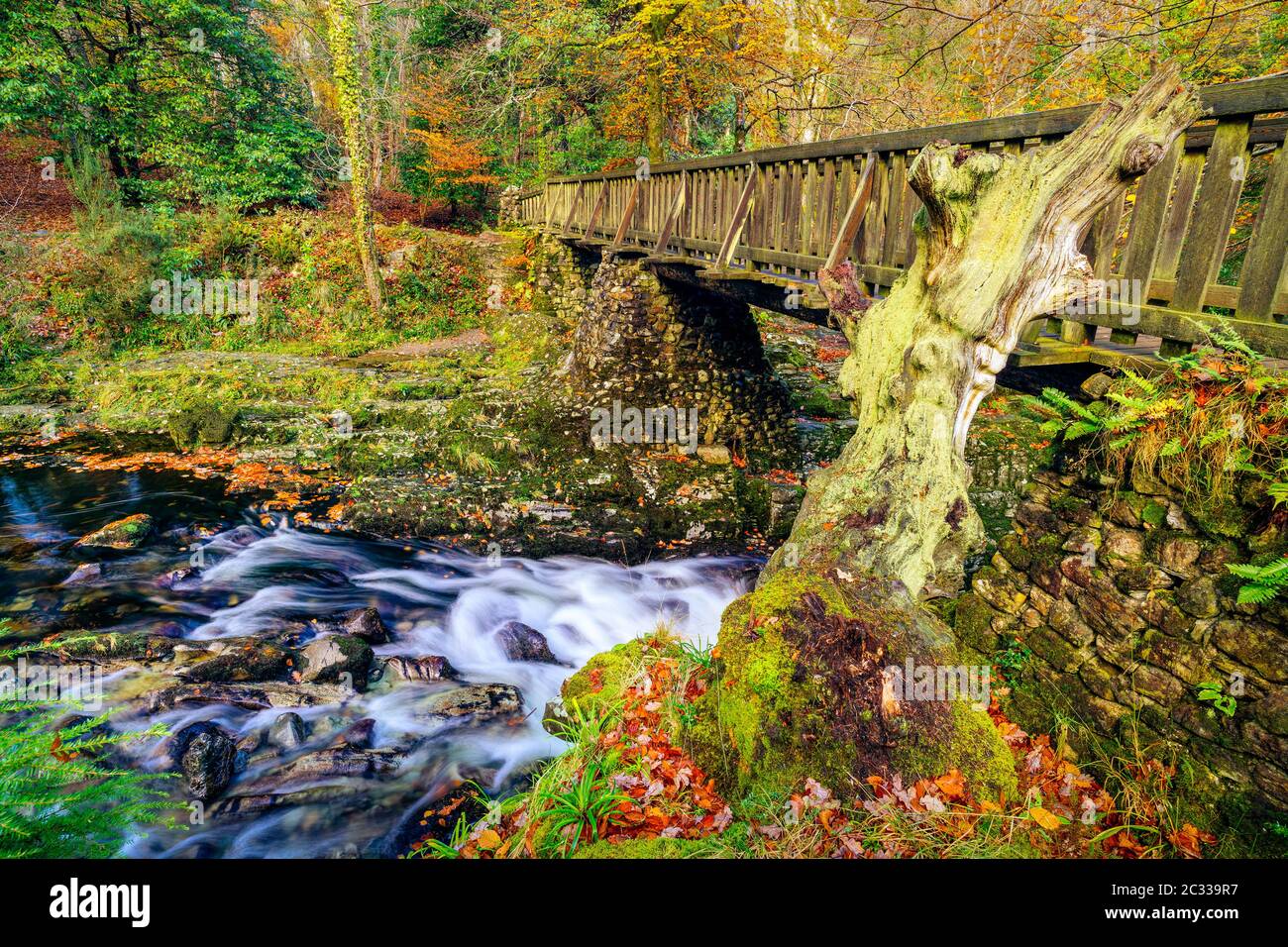 Kaskaden unter Holzbrücke auf Bergbach, mit moosigen Felsen im Tollymore Forest Park Stockfoto