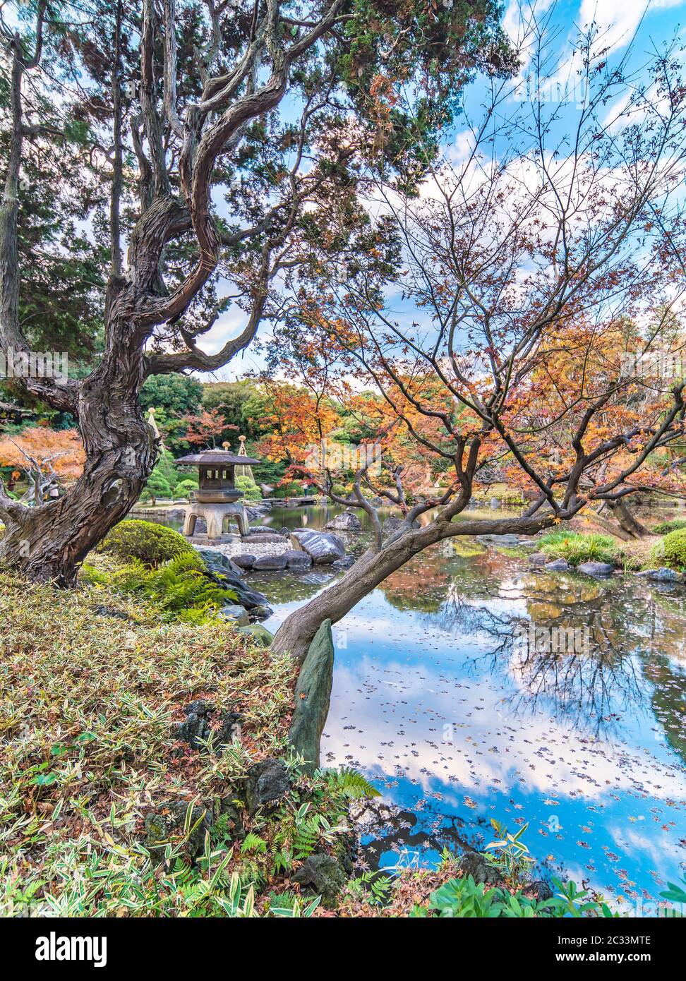 Yukimi Stein Laterne zwischen gesteppte Kiefern in der Art eines Ukiyoe drucken in der Kyufurukawa Garten in Tokio erscheinen Stockfoto