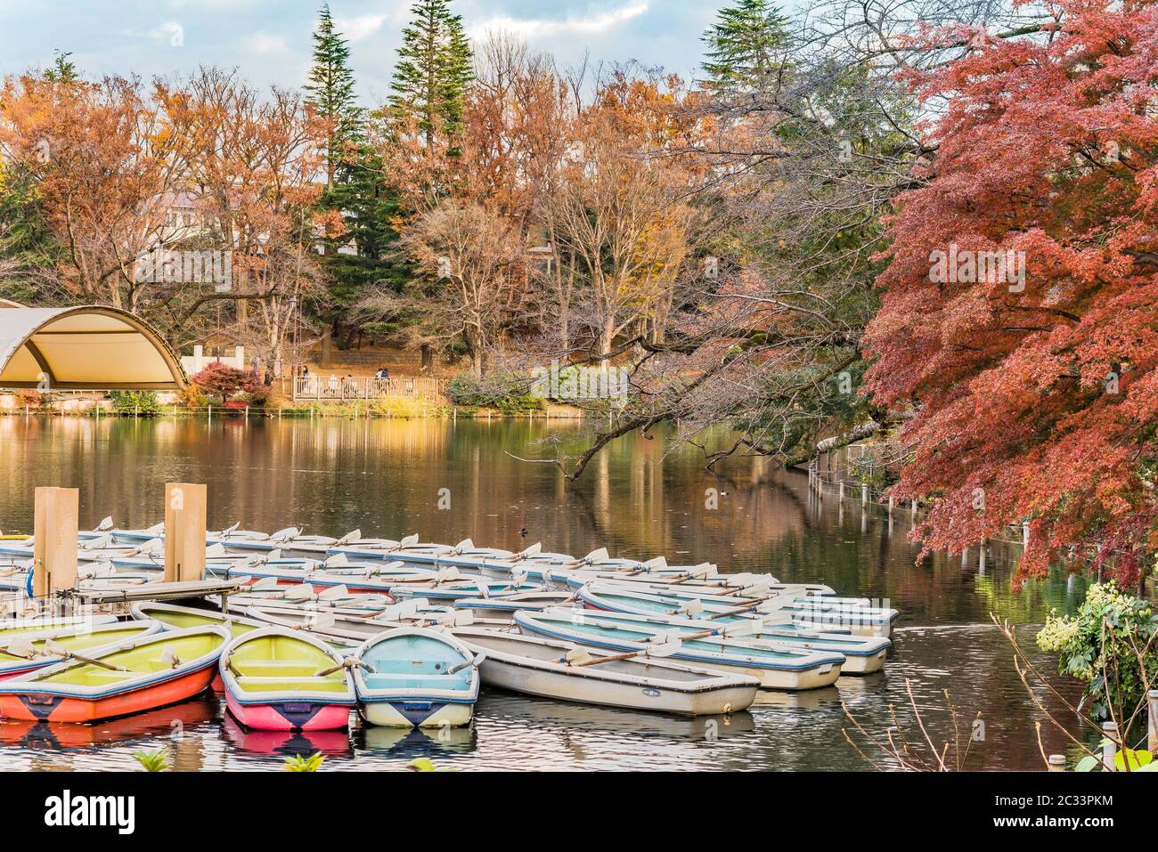 Eine Sammlung von Boote schwimmend im Teich von kichijoji Inokashira Park Stockfoto