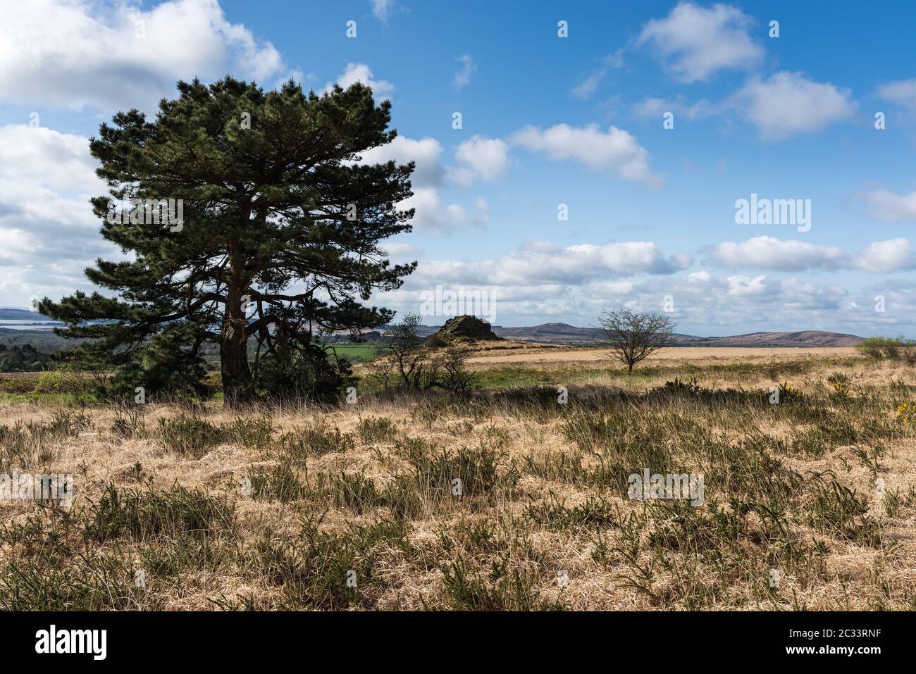 Naturpark d'Amorique Stockfoto